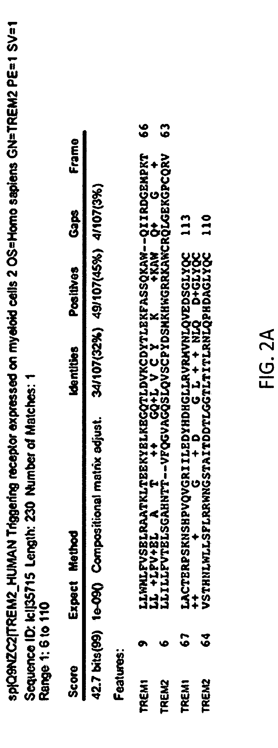 Anti-trem2 antibodies and methods of use thereof