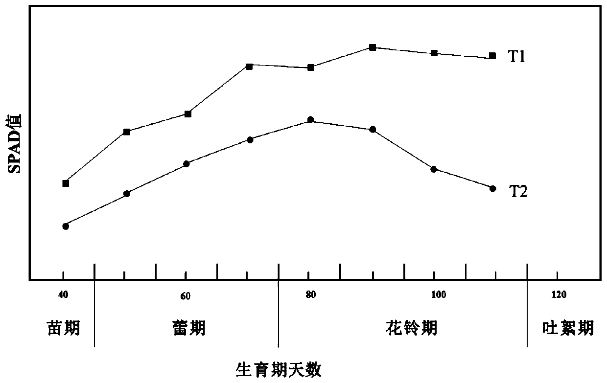 Functional liquid fertilizer, preparation method thereof and cotton fertilization method