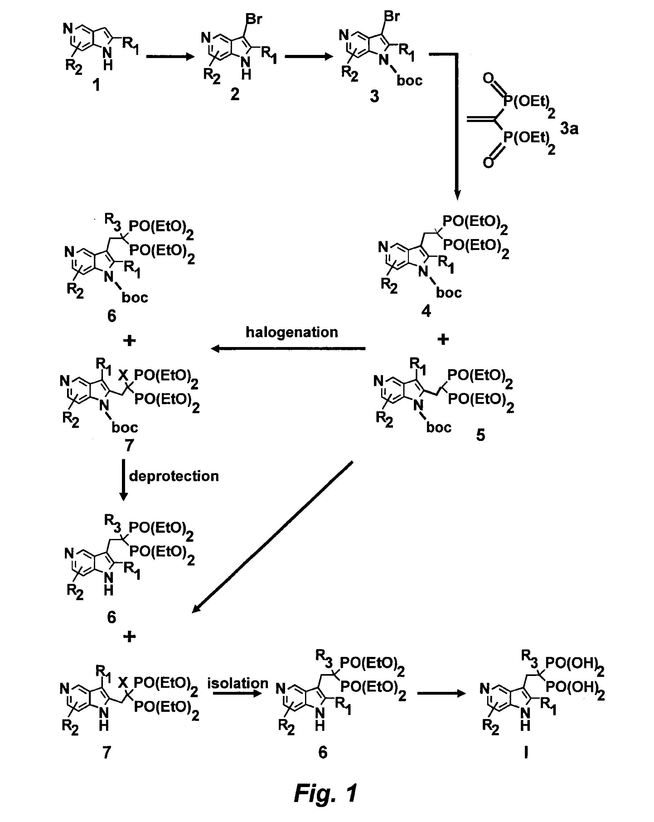 5-azaindole bisphosphonates