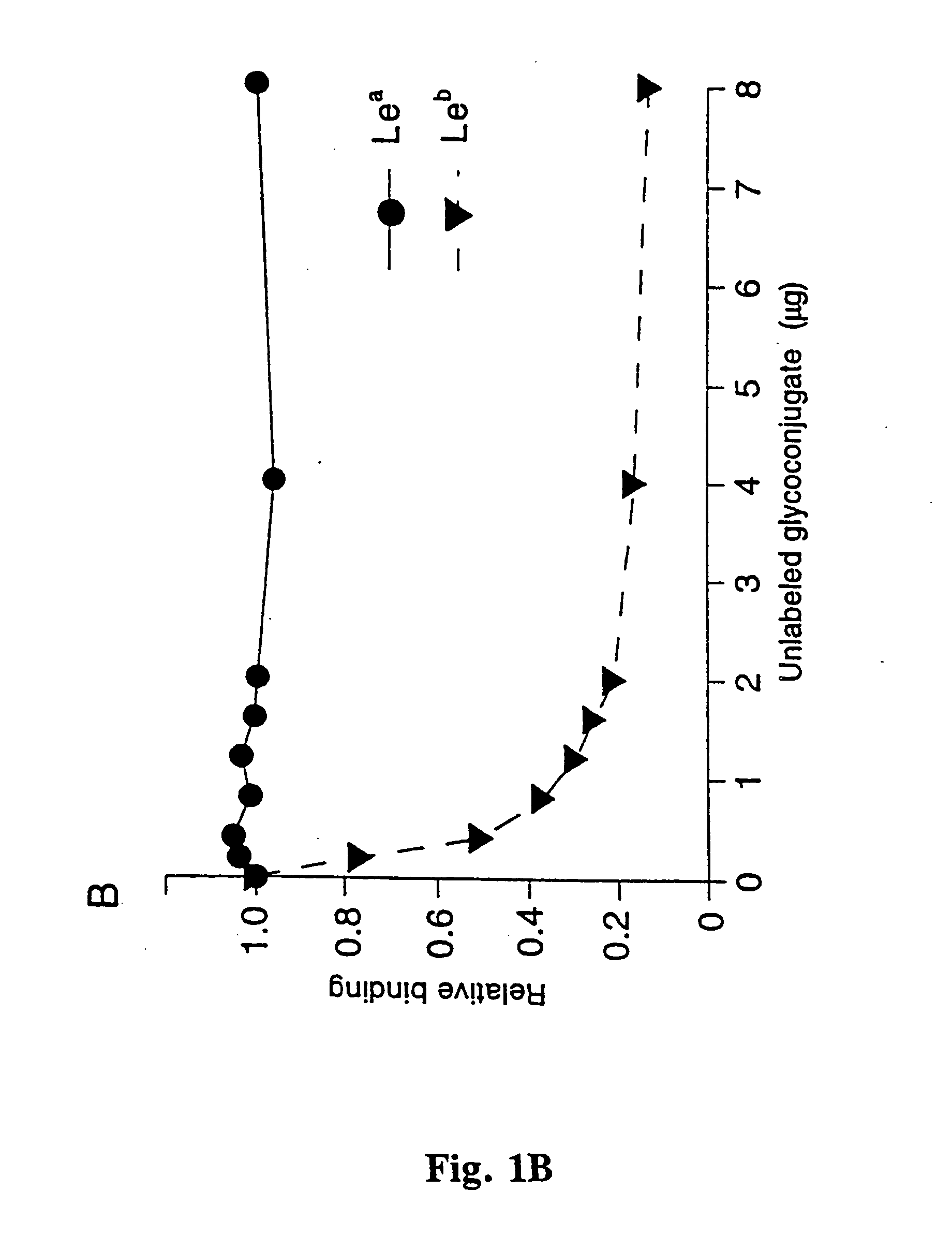 Helicobacter pylori adhesin binding group antigen