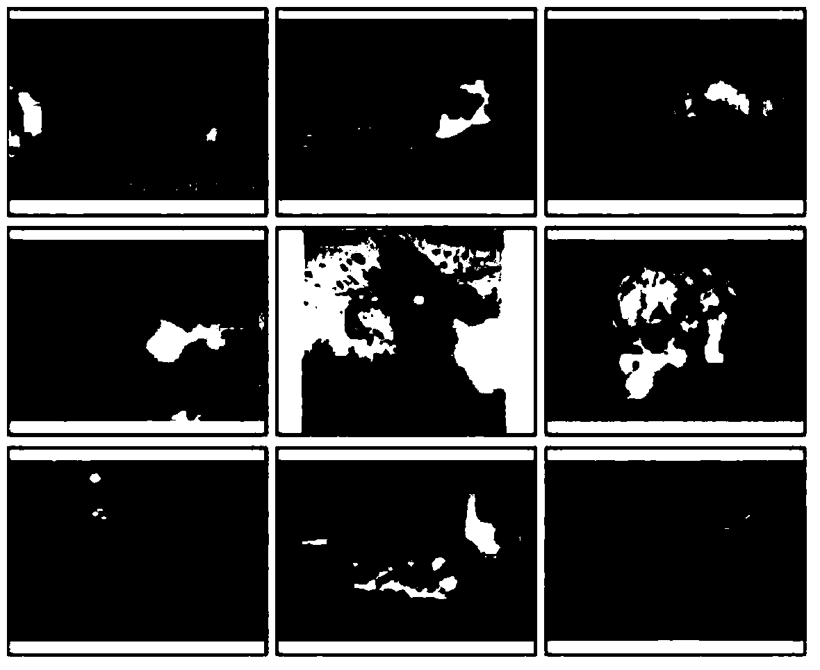 Cross-media search method based on isomorphic subspace mapping and optimization