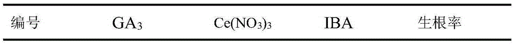 Reproduction method for prunus wilsonii