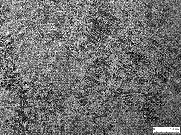 A method for displaying the prior austenite grain boundaries of p91, p92 ferritic heat-resistant steel