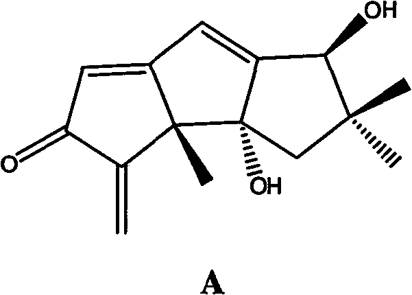 Use of Hirsutanols A in preparing anti-tumor medicine