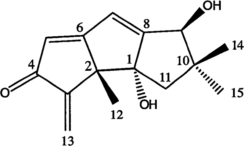 Use of Hirsutanols A in preparing anti-tumor medicine