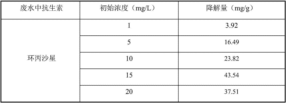 Fe-doped biochar loaded TiO2 composite material preparation method and application