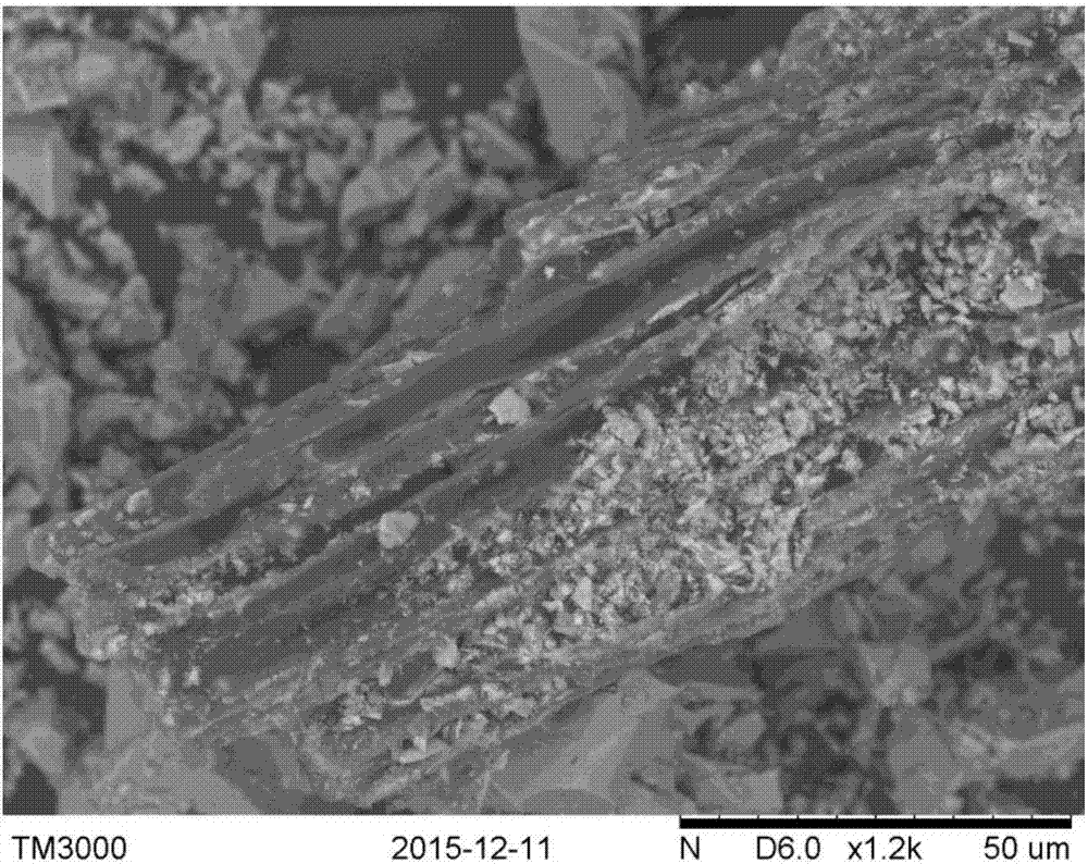 Fe-doped biochar loaded TiO2 composite material preparation method and application