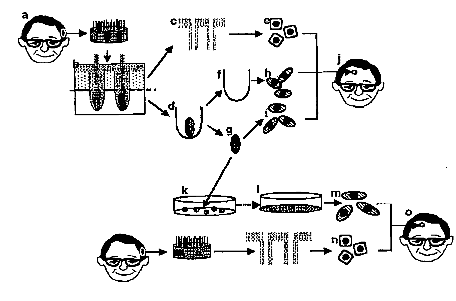 Hair growth method