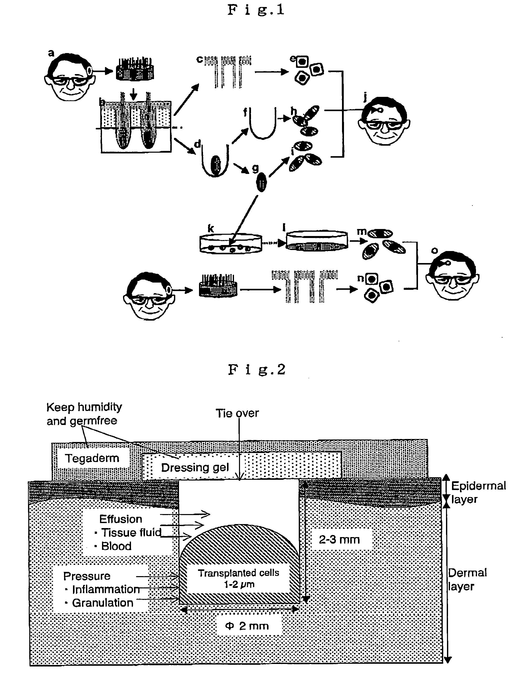 Hair growth method