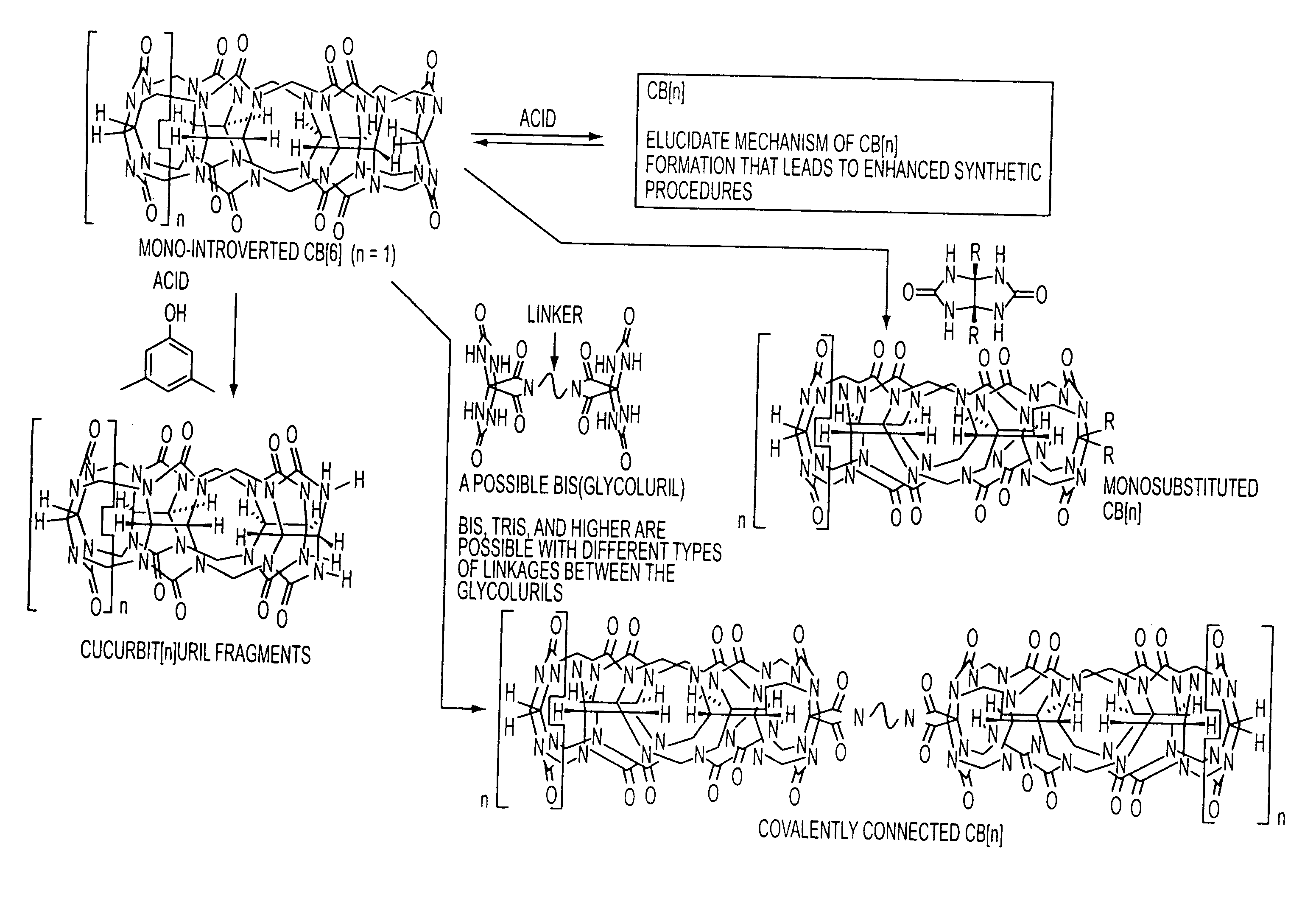 Introverted CB[N] Compounds