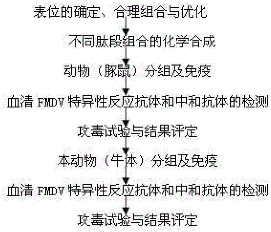 Cattle food-and-mouth disease virus A type synthetic peptide and preparation and application thereof