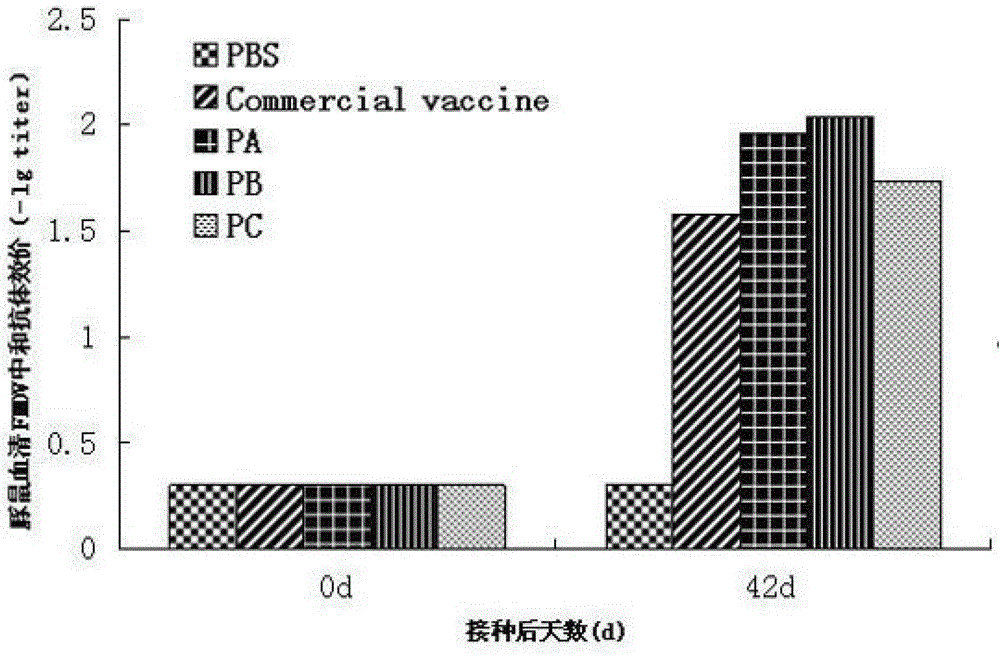 Cattle food-and-mouth disease virus A type synthetic peptide and preparation and application thereof