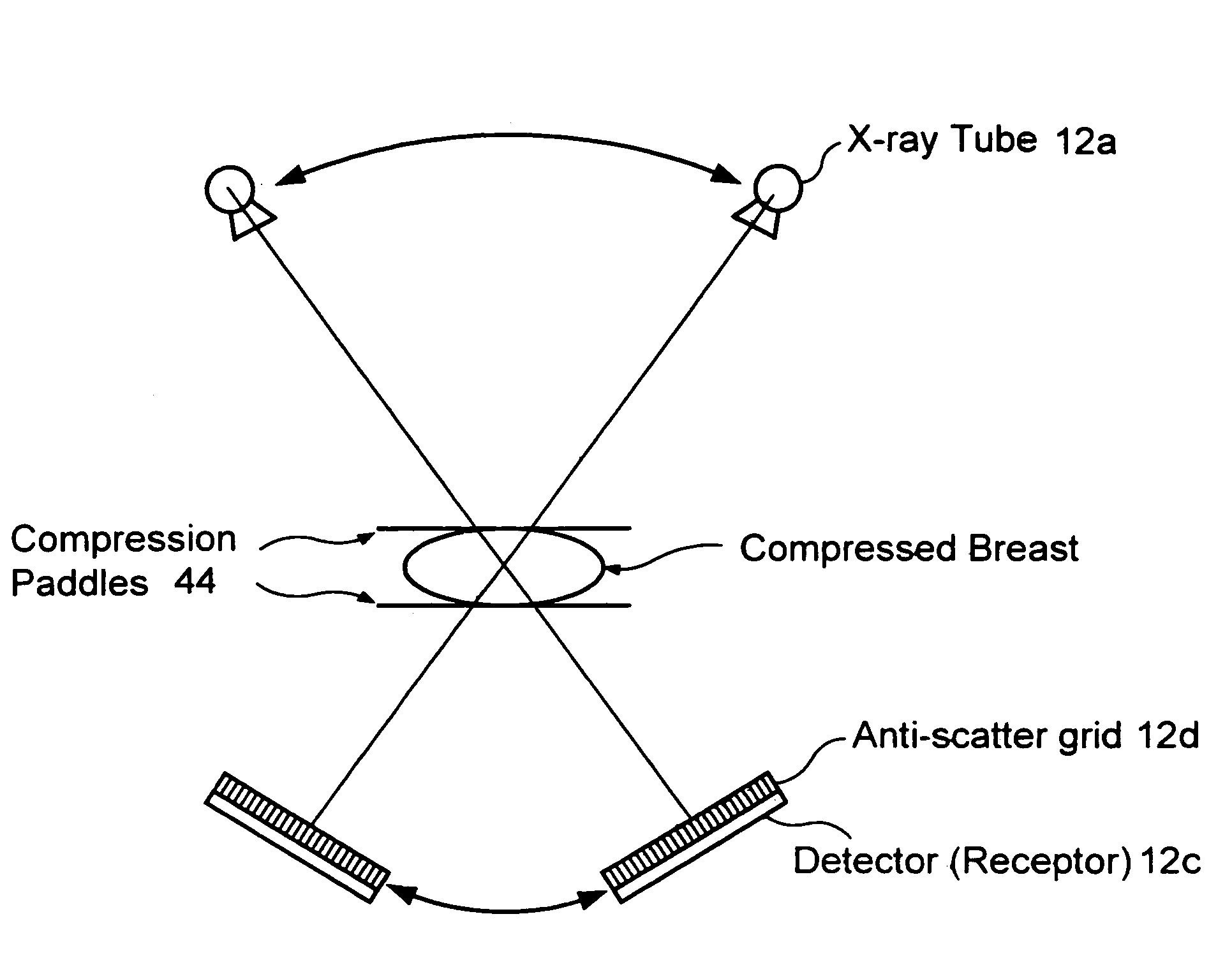 Full field mammography with tissue exposure control, tomosynthesis, and dynamic field of view processing