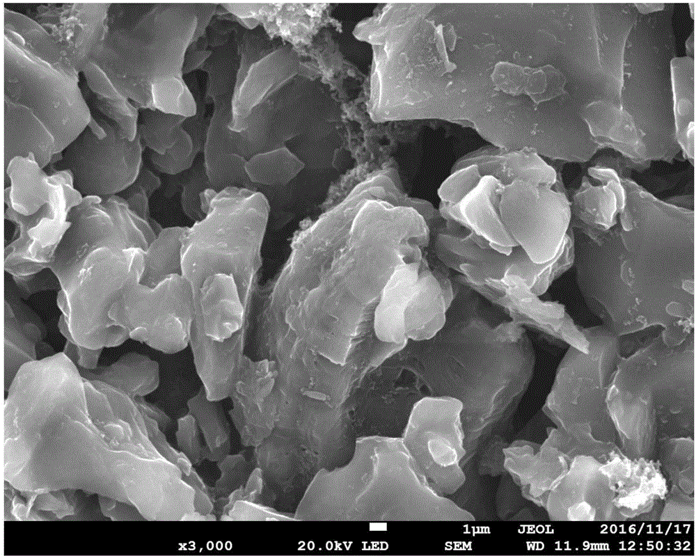 Electrode plate activation method for negative electrode based on passivation metal lithium powder