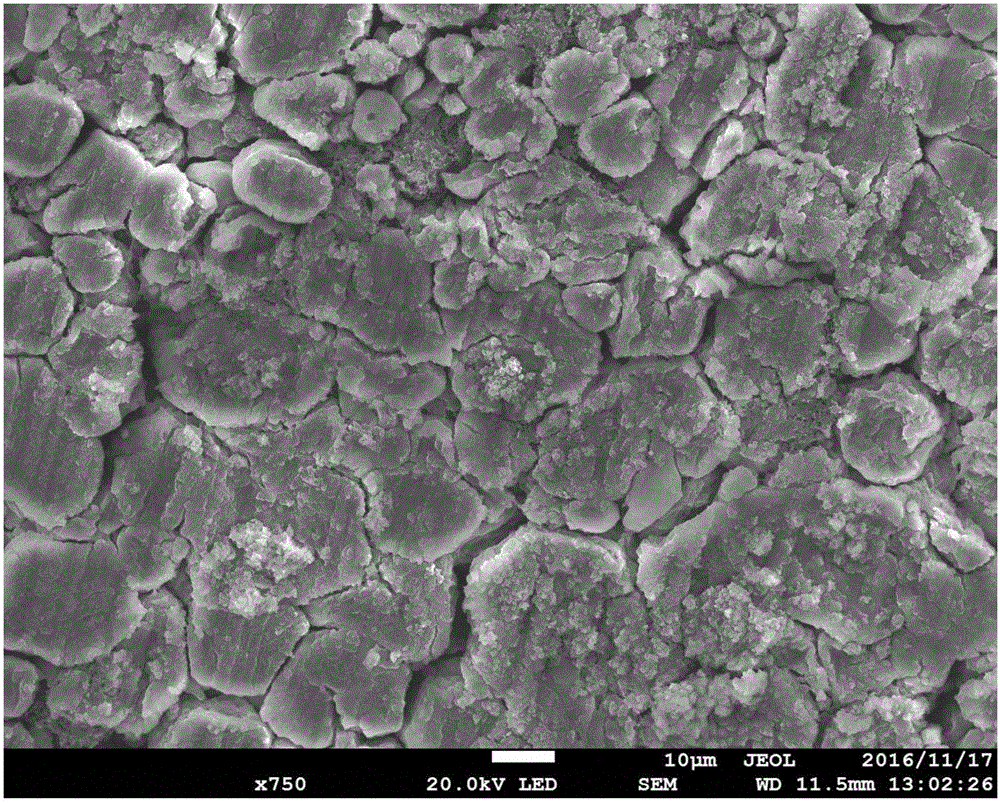 Electrode plate activation method for negative electrode based on passivation metal lithium powder