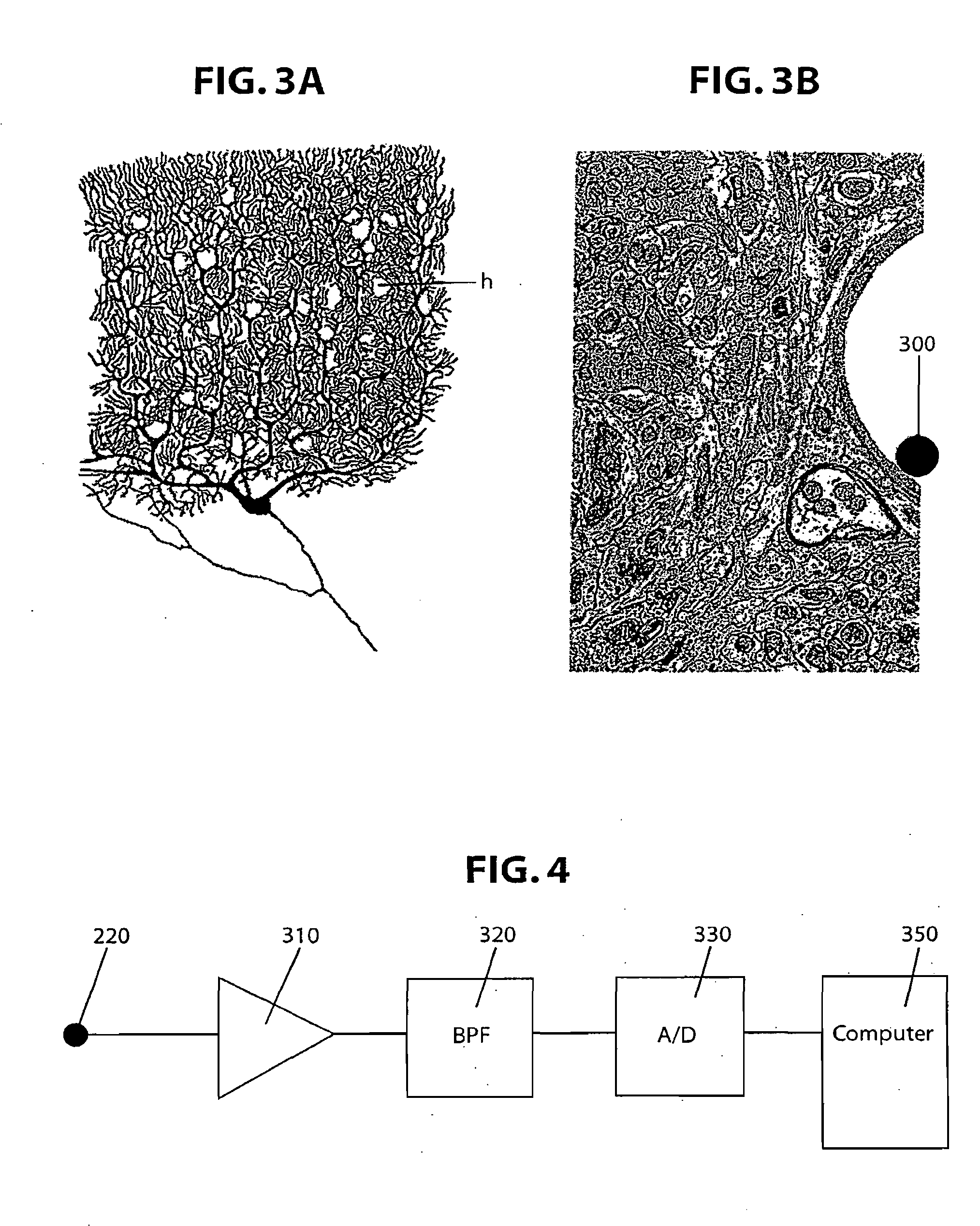 Brain- machine interface systems and methods