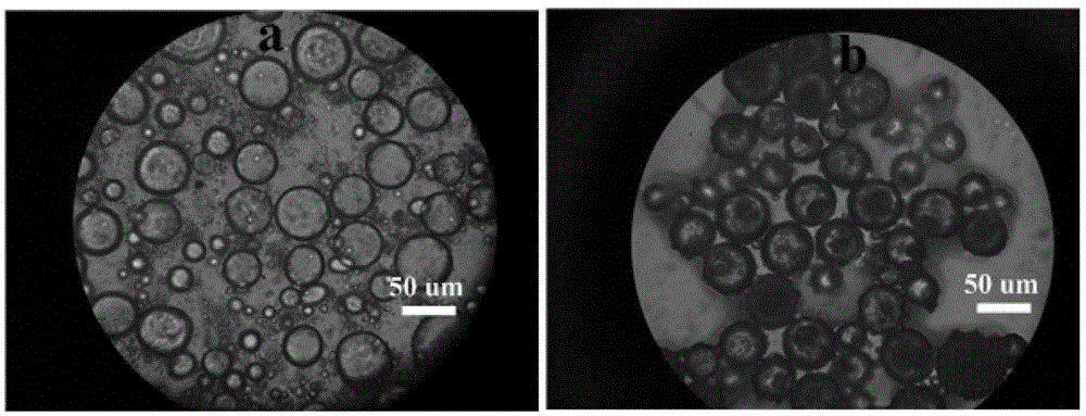 Method for preparing magnetic/hollow double-shell layer print adsorbent by emulsion polymerization