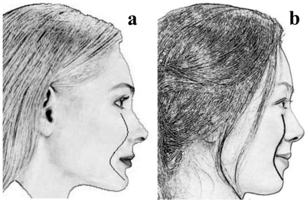 Method for assessing facial apparent age, degree of facial aging and its application