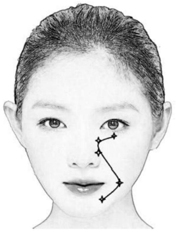 Method for assessing facial apparent age, degree of facial aging and its application