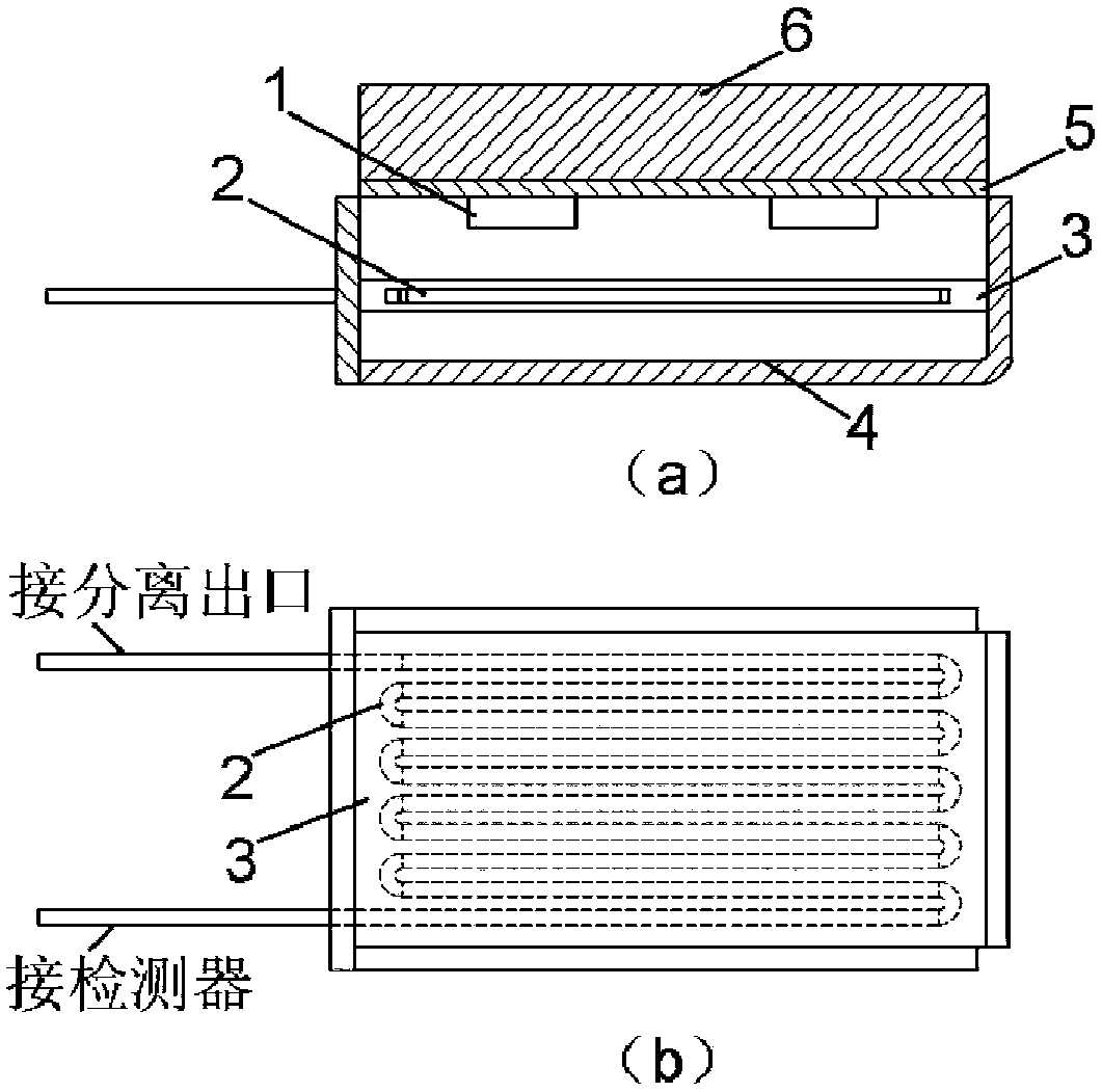 Chip type light derivatizer for aflatoxins and sulfonamides