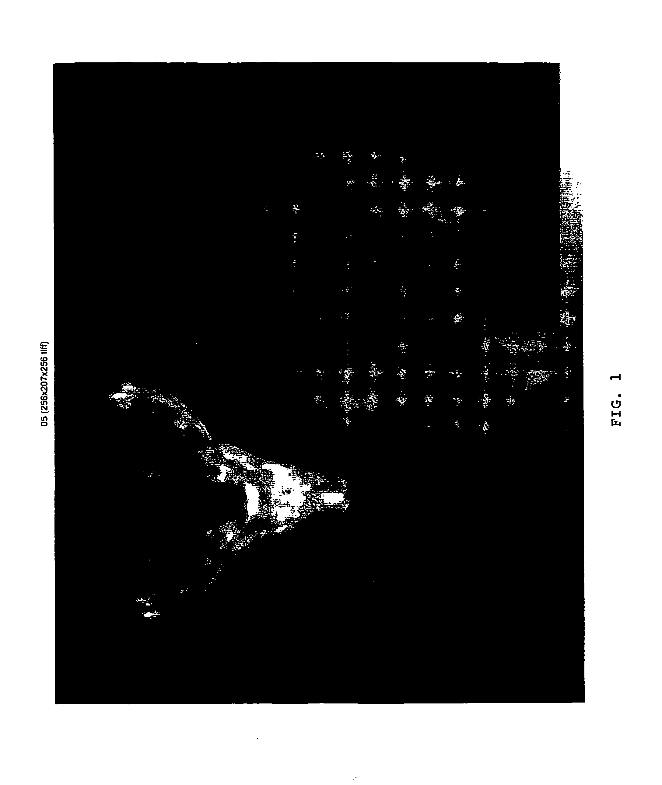 Method for the evaluation of velvet antler