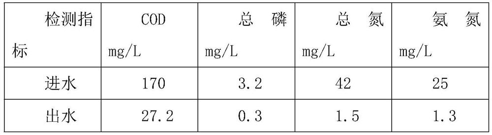 Efficient ecological purification system for domestic sewage treatment