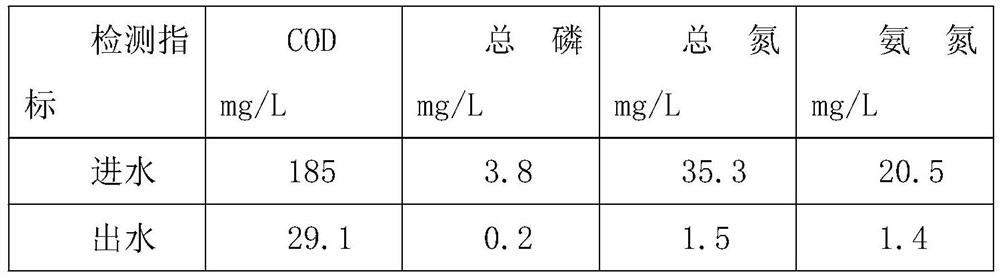 Efficient ecological purification system for domestic sewage treatment