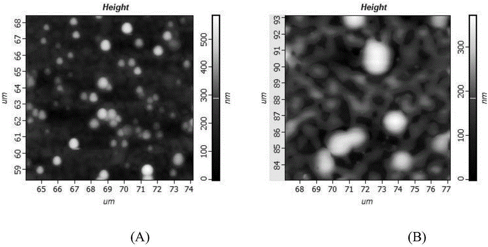 Corn prolamine-shellac-curcumin compound colloidal particles and preparation method thereof