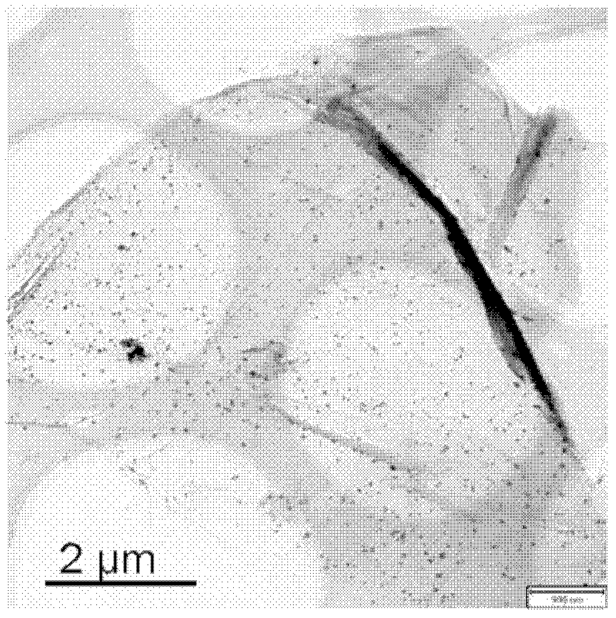 Surface nano-nickel particle modified graphene nano material and preparation method thereof