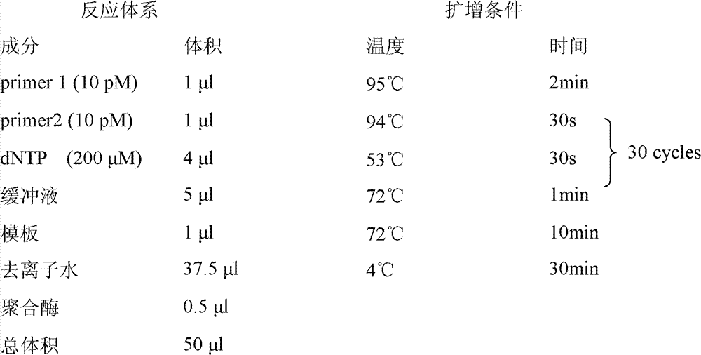 Genetic engineering bacteria for producing D-lactic acid and constructon method and application thereof