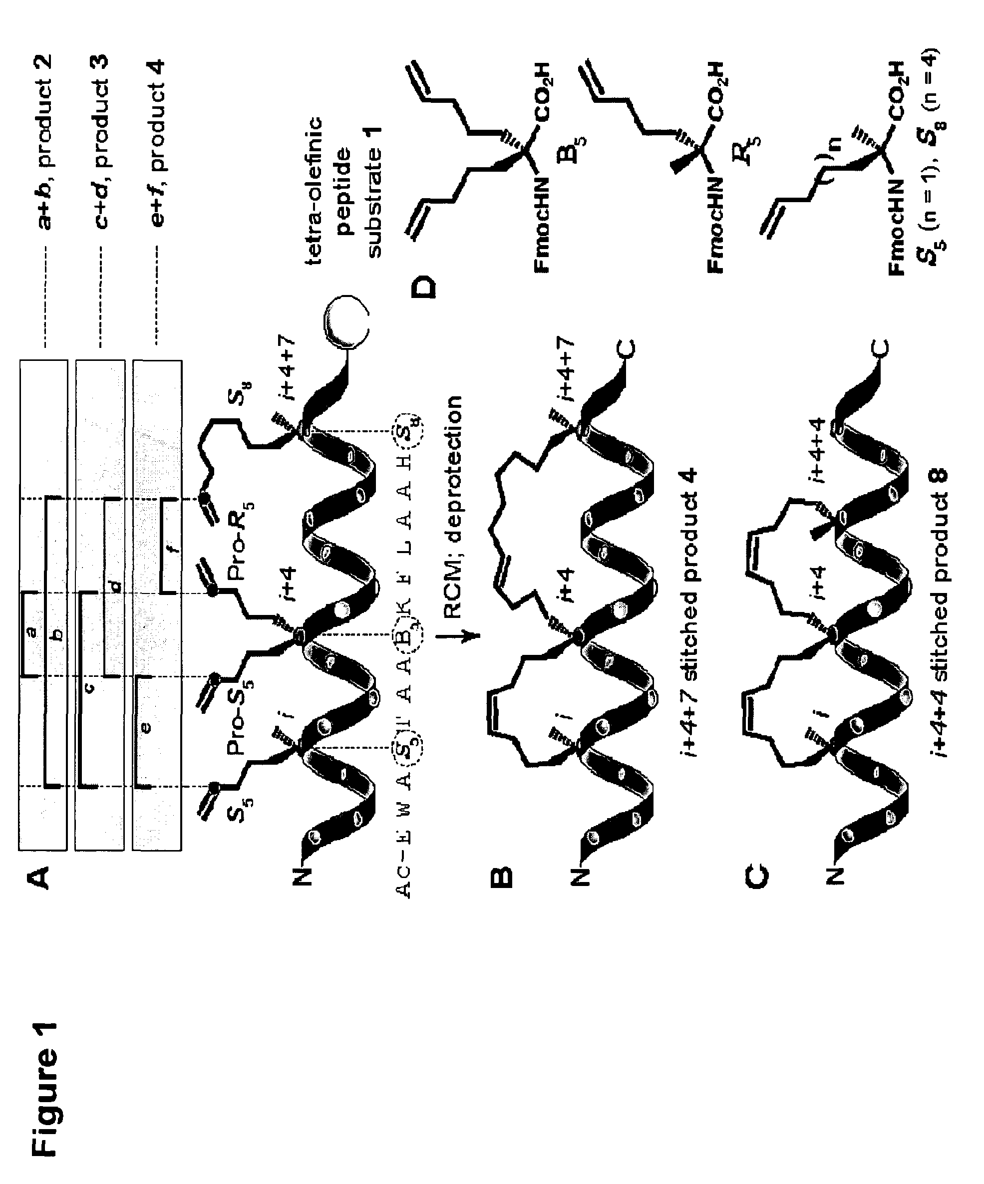 Stitched polypeptides