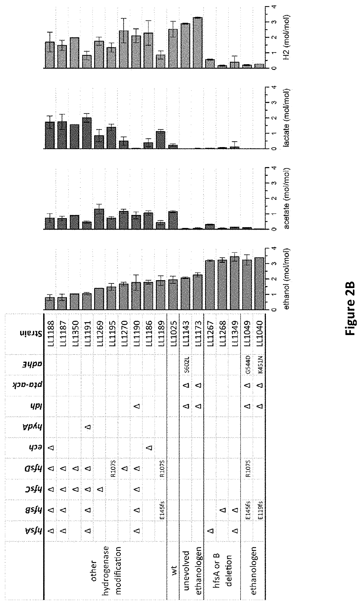 Increased ethanol production by thermophilic microorganisms with deletion of individual hfs hydrogenase subunits