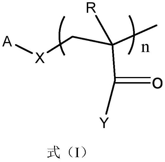 A kind of biomass modified polymer binder, its preparation method and its application in silicon-based electrode lithium-ion battery