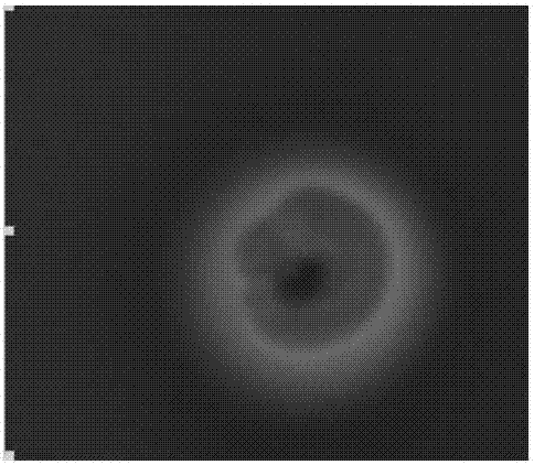 A kind of highly pathogenic Aeromonas hydrophila and its application