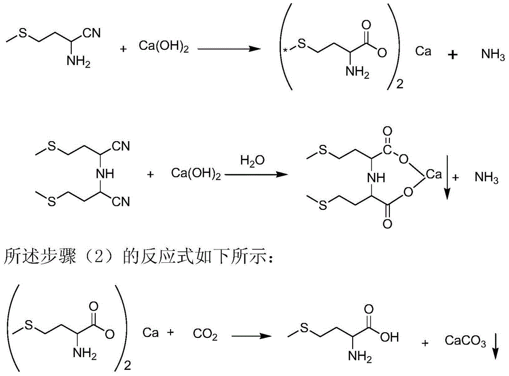 Clean Production Method of Methionine