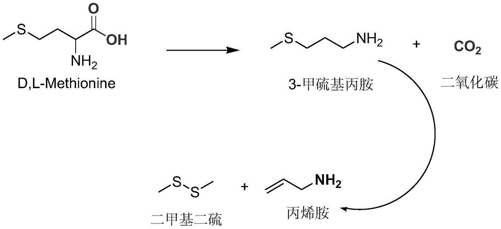 Clean Production Method of Methionine