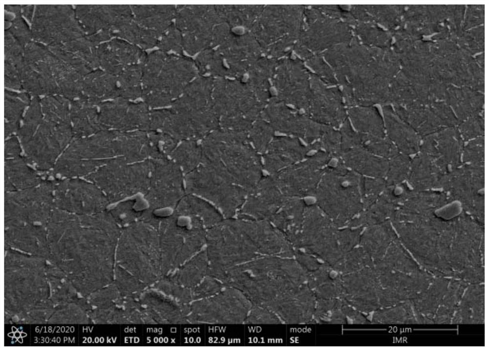 High-carbon high-chromium martensitic stainless steel for cutter and preparation method thereof