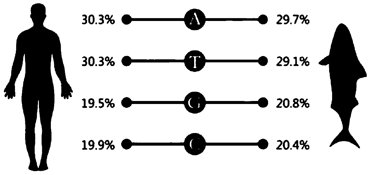 Small molecule polydeoxyribonucleotide and preparation and application thereof