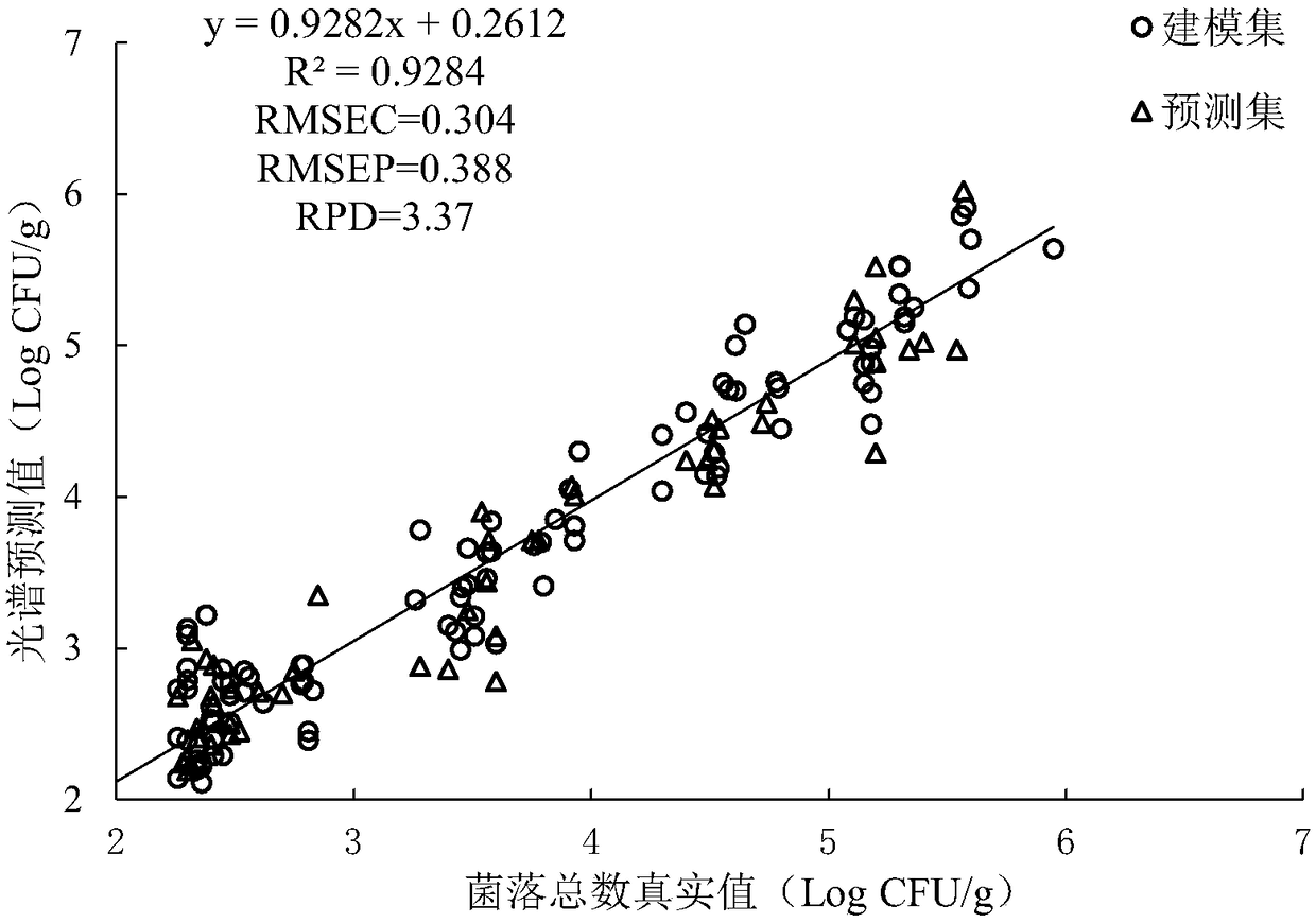 Wheat bacterial count online detection method based on visible/near infrared spectroscopy technology