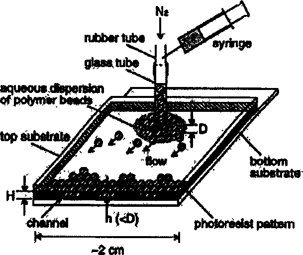 Method for preparing two-dimensional or three dimensional colloid crystal