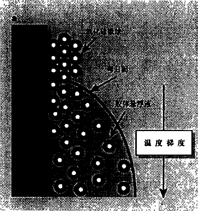 Method for preparing two-dimensional or three dimensional colloid crystal