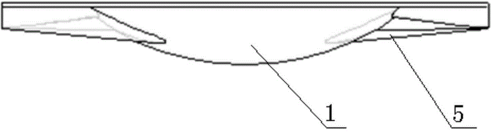 Combined jet oil emulsion enveloping type combustor