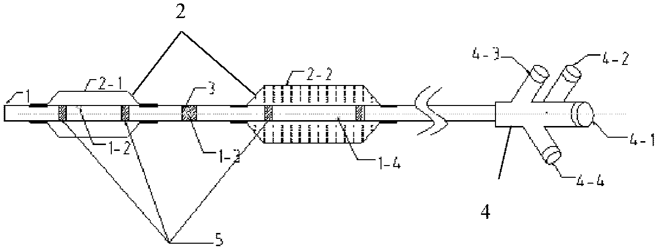 Sacculus expansion catheter for drug treatment