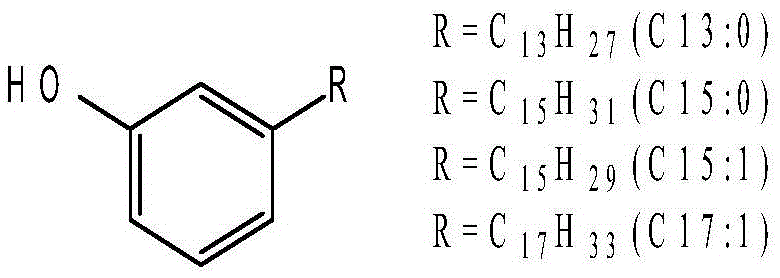 Ginkgol containing medicine composition for treating liver cancer