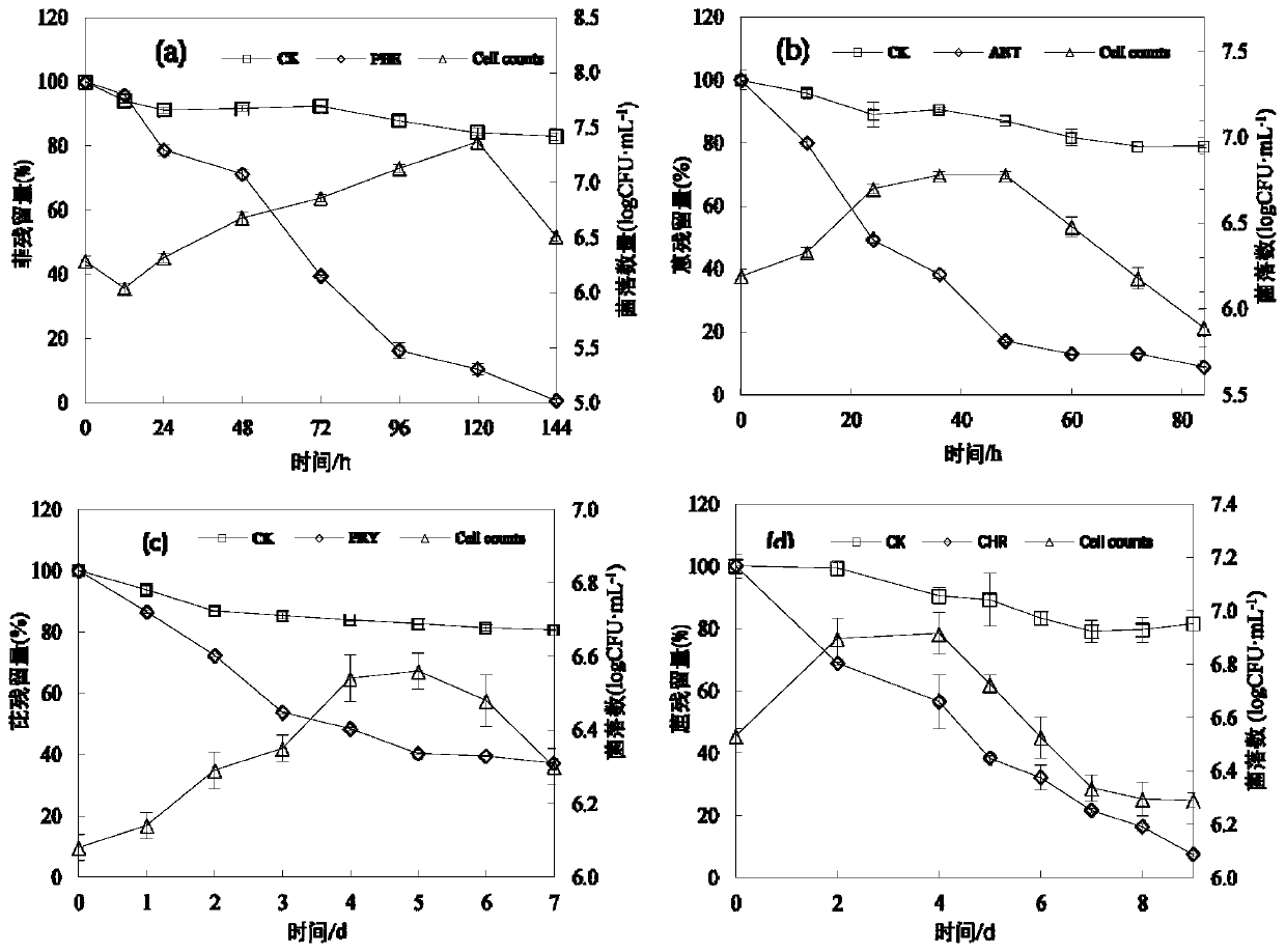 Growth promoting rhizobacteria PHE-2 with PAHs degradation capability and application thereof