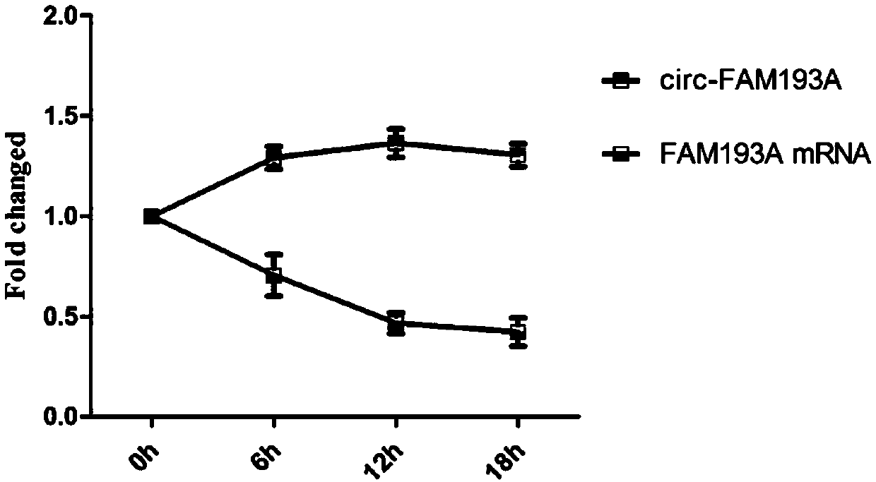 Application of circ-FAM193A molecular marker in blood in diagnosis and prognosis of esophageal squamous carcinoma