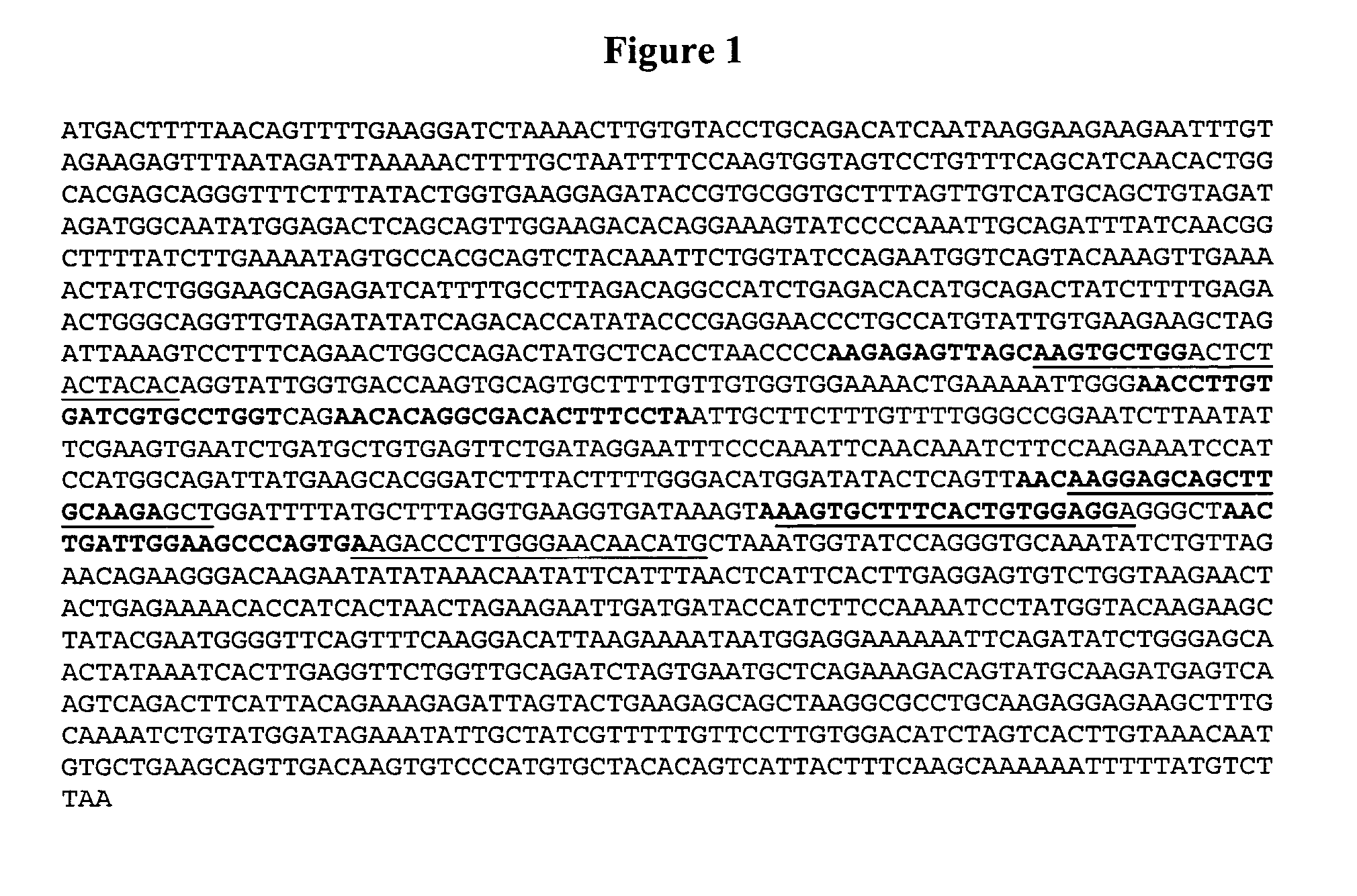 IAP nucleobase oligomers and oligomeric complexes and uses thereof