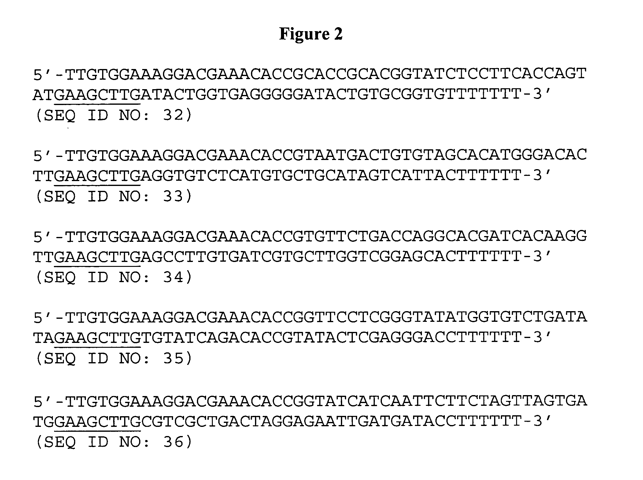 IAP nucleobase oligomers and oligomeric complexes and uses thereof