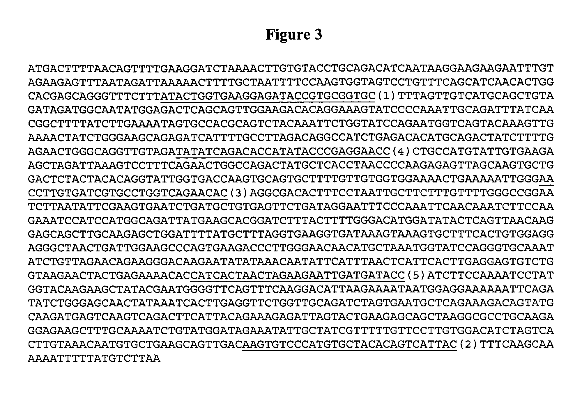 IAP nucleobase oligomers and oligomeric complexes and uses thereof