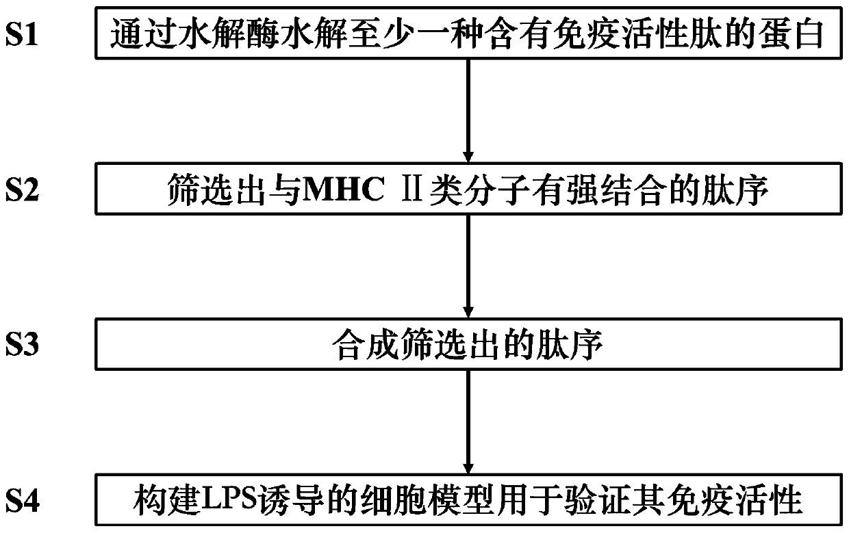 Screening method for immunoactive peptides